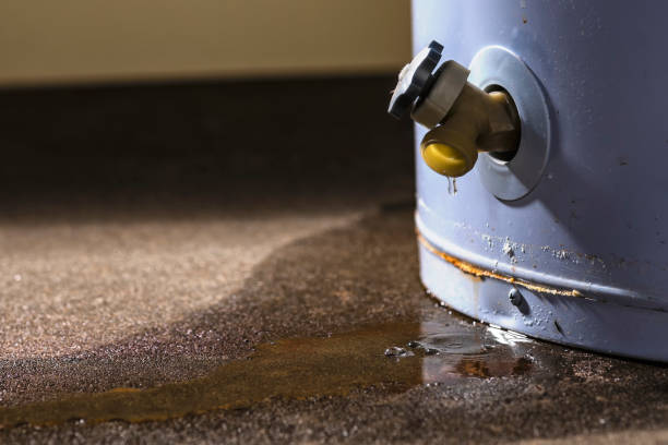 Best Flooded house restoration  in Sonoma, CA