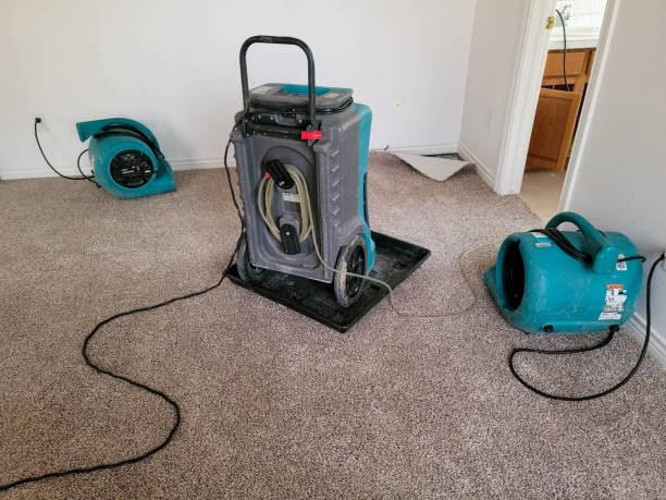 Best Professional water damage repair  in Sonoma, CA