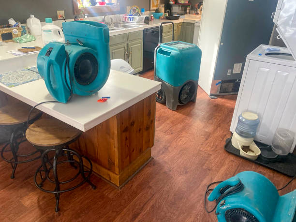 Best Local water damage restoration  in Sonoma, CA