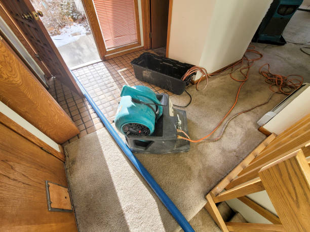 Best Sewage cleanup and water damage restoration  in Sonoma, CA
