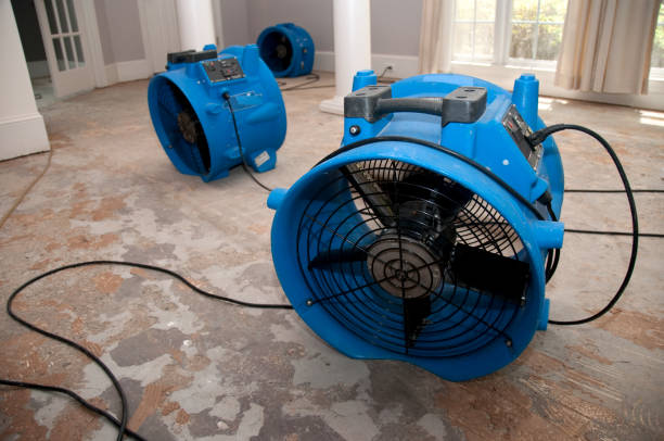 Best Water damage contractors near me  in Sonoma, CA
