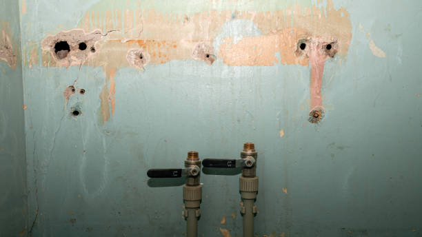 Best Ceiling water damage repair  in Sonoma, CA
