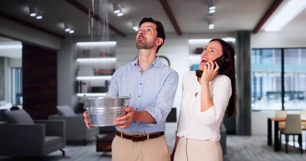Best Flood restoration services  in Sonoma, CA